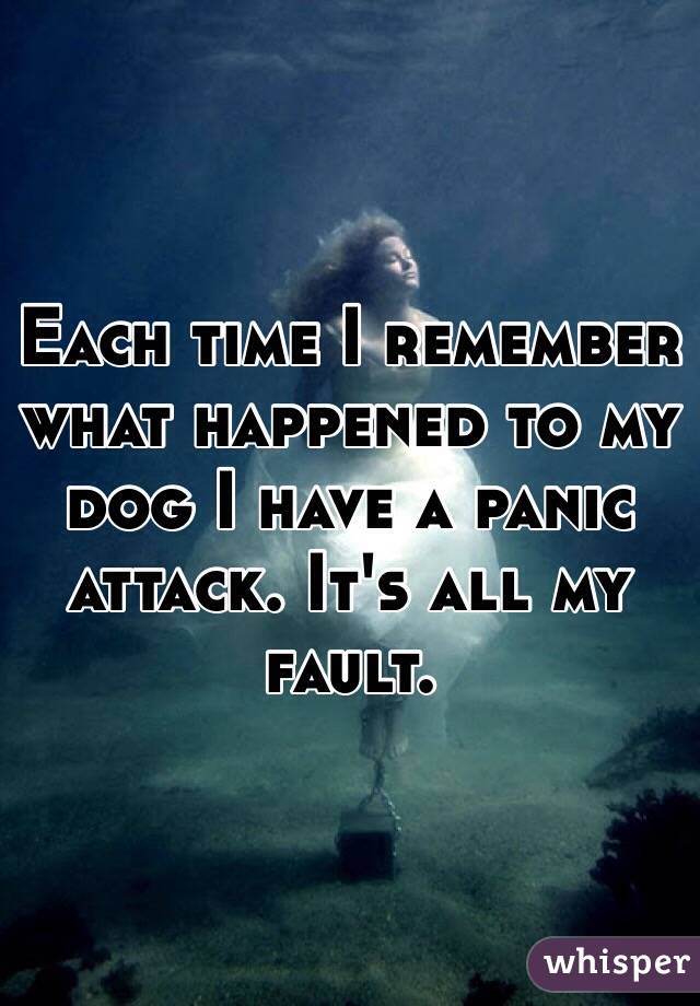 Each time I remember what happened to my dog I have a panic attack. It's all my fault. 