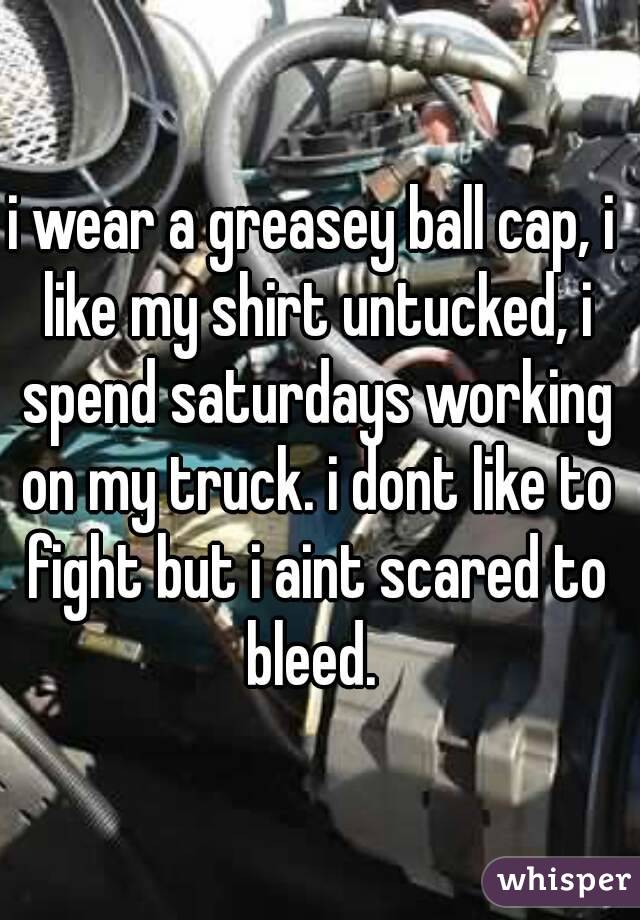 i wear a greasey ball cap, i like my shirt untucked, i spend saturdays working on my truck. i dont like to fight but i aint scared to bleed. 
