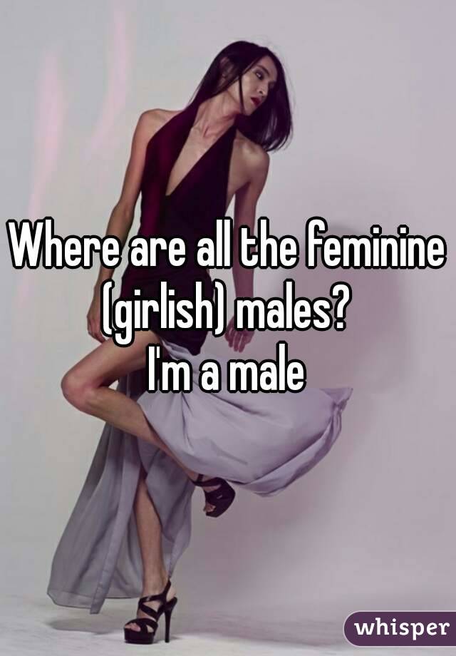 Where are all the feminine (girlish) males? 
I'm a male
