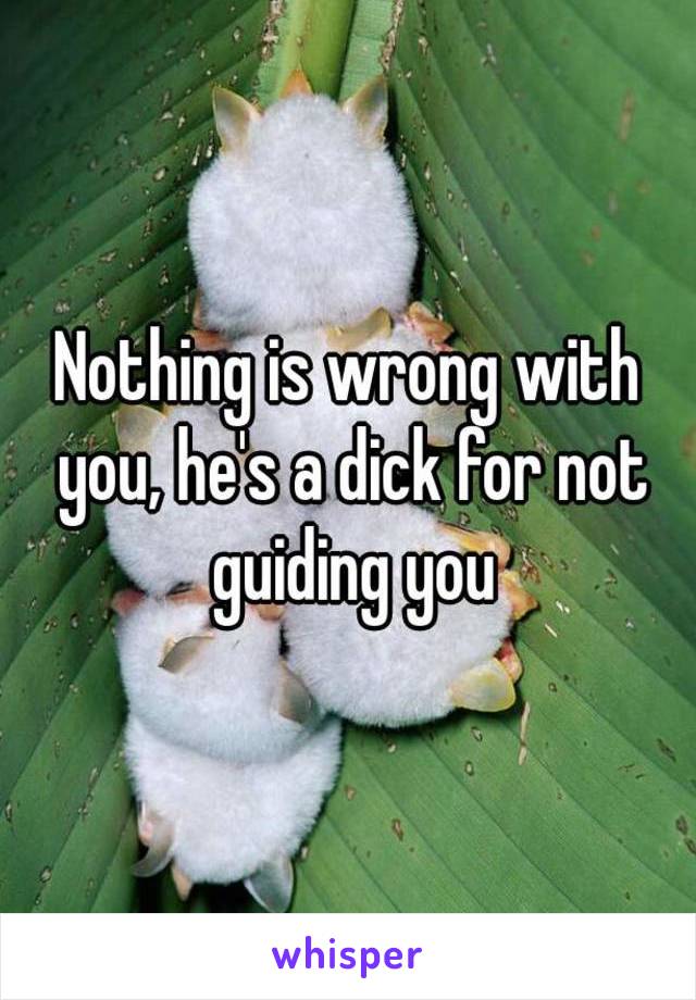 Nothing is wrong with you, he's a dick for not guiding you