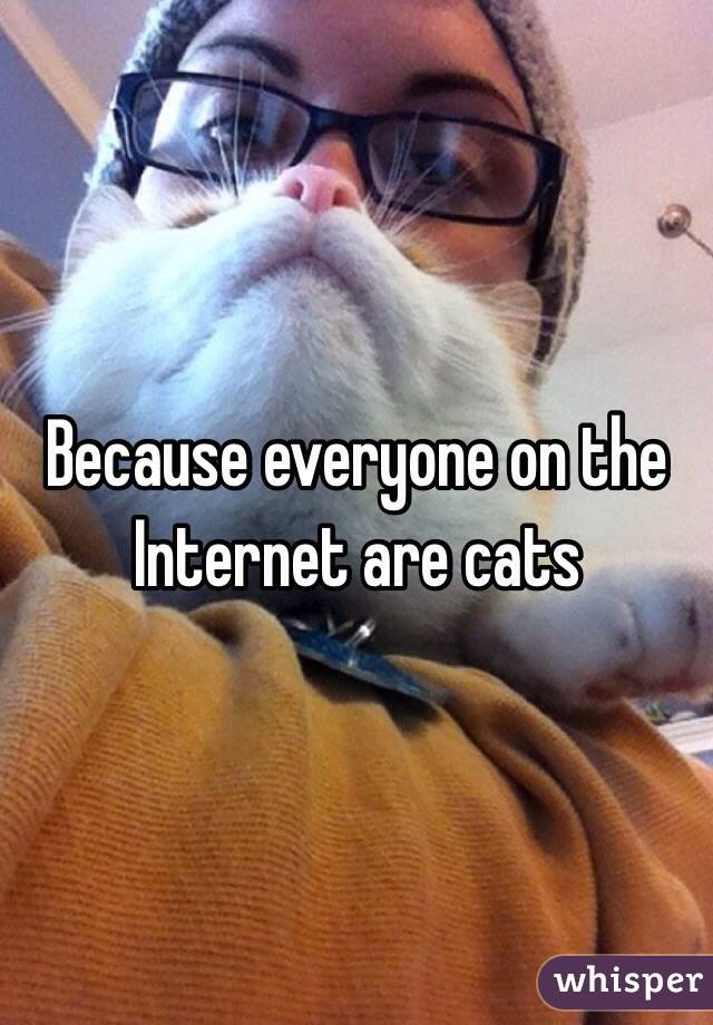 Because everyone on the Internet are cats 
