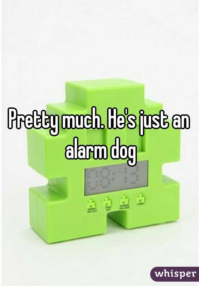 Pretty much. He's just an alarm dog