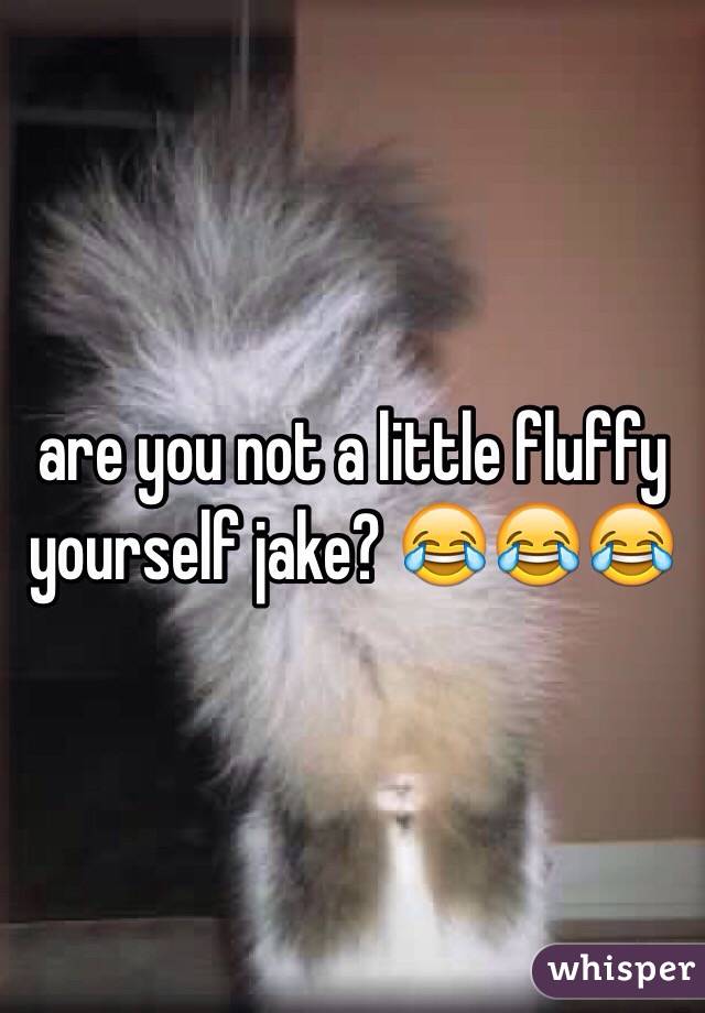 are you not a little fluffy yourself jake? 😂😂😂 
