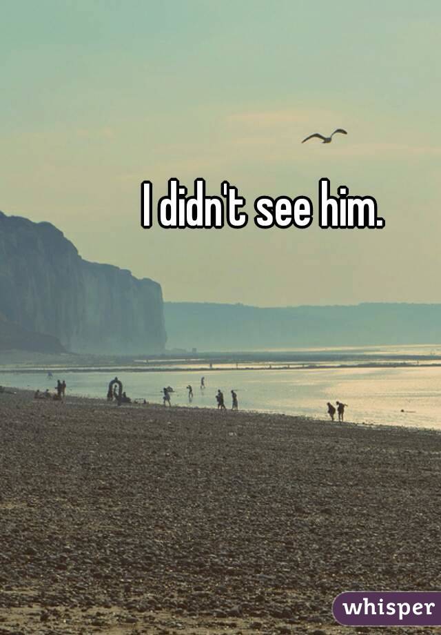 I didn't see him. 