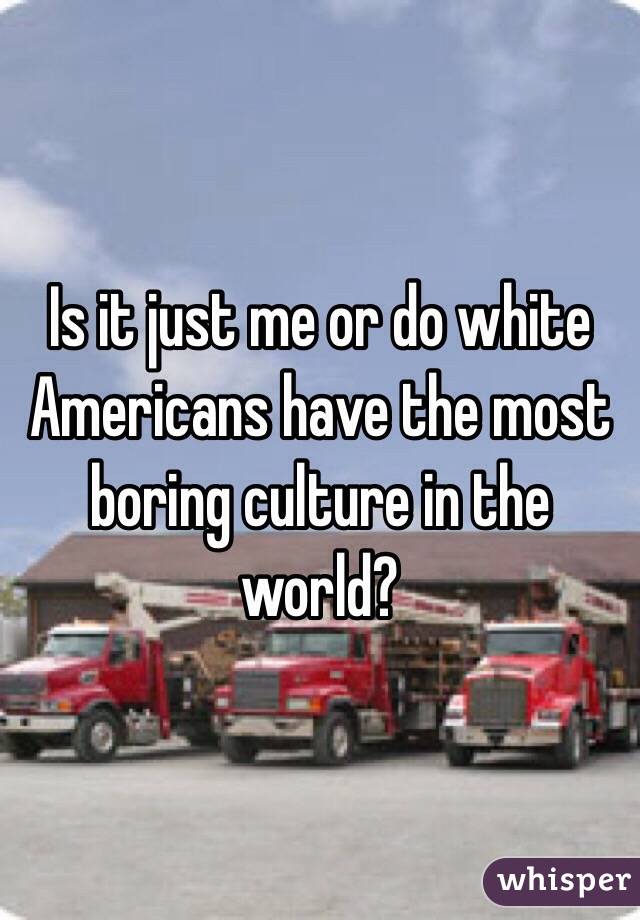 Is it just me or do white Americans have the most boring culture in the world?