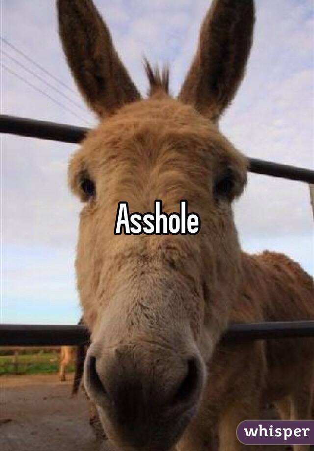 Asshole