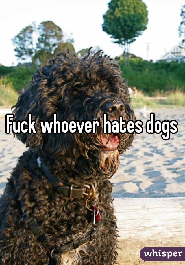 Fuck whoever hates dogs