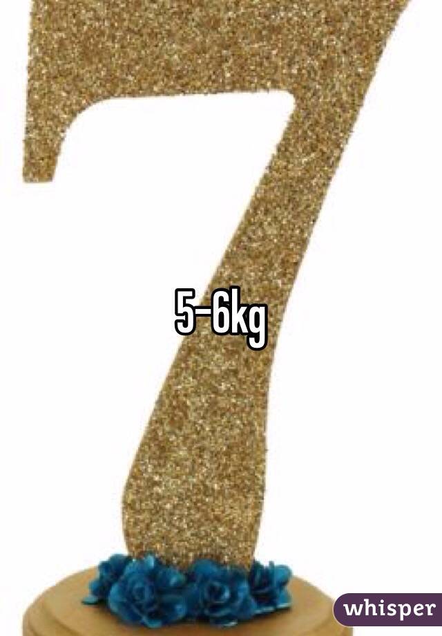 5-6kg