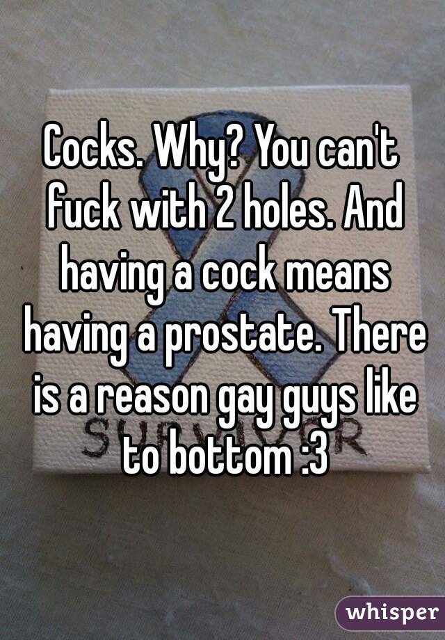Cocks. Why? You can't fuck with 2 holes. And having a cock means having a prostate. There is a reason gay guys like to bottom :3