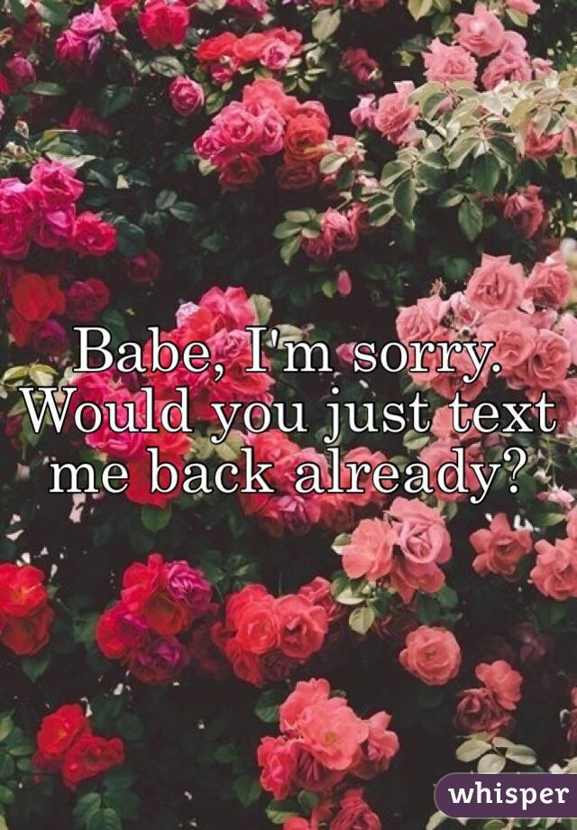 Babe, I'm sorry. Would you just text me back already? 