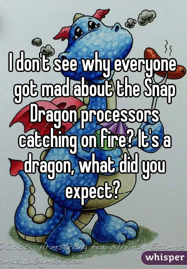 I don't see why everyone got mad about the Snap Dragon processors catching on fire? It's a dragon, what did you expect? 