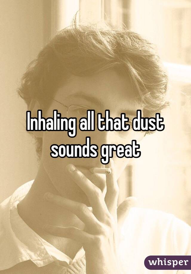 Inhaling all that dust sounds great
