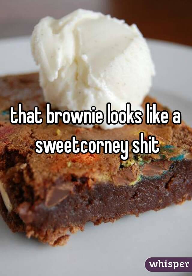 that brownie looks like a sweetcorney shit