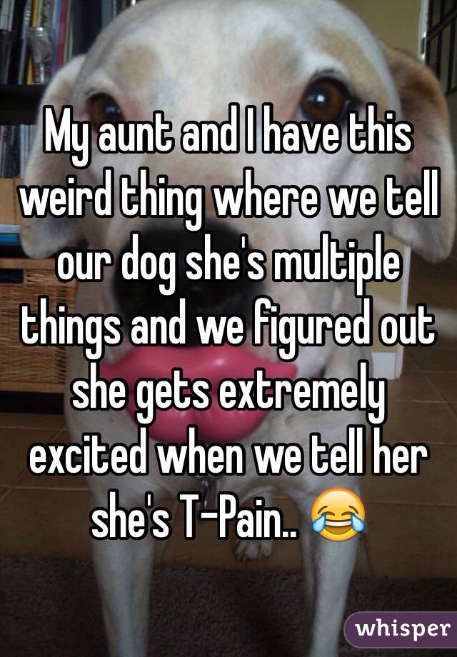 My aunt and I have this weird thing where we tell our dog she's multiple things and we figured out she gets extremely excited when we tell her she's T-Pain.. 😂