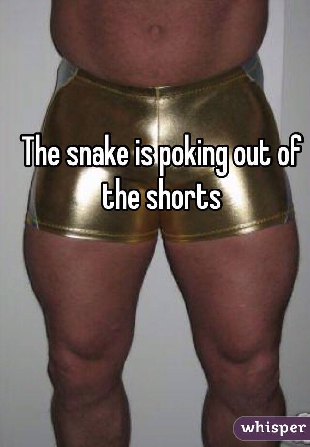 The snake is poking out of the shorts 