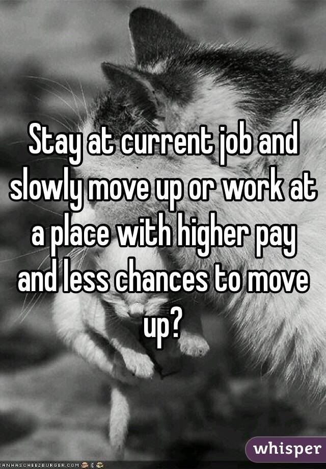 Stay at current job and slowly move up or work at a place with higher pay and less chances to move up? 