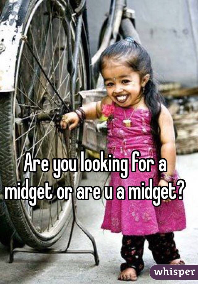 Are you looking for a midget or are u a midget?