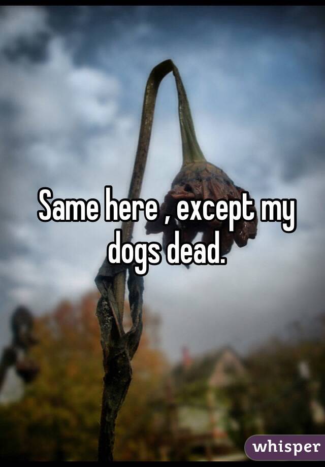 Same here , except my dogs dead. 