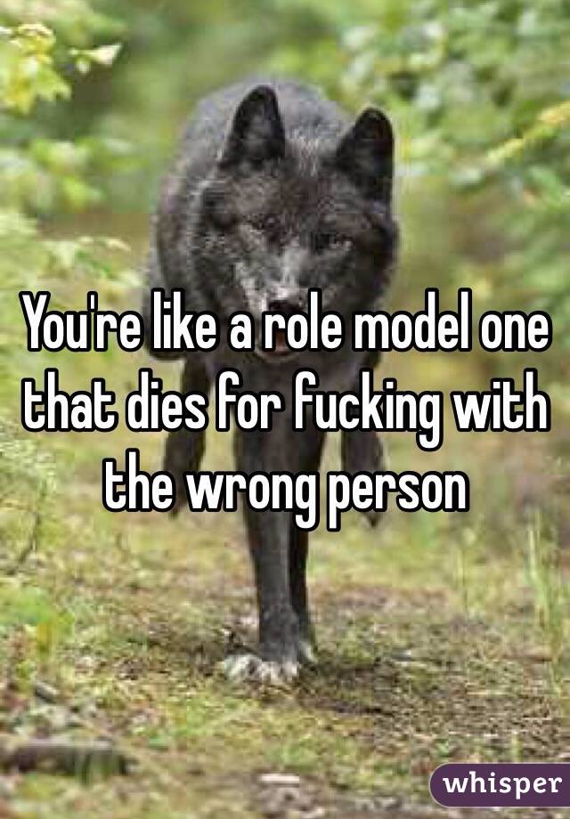 You're like a role model one that dies for fucking with the wrong person 