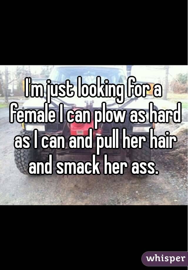 I'm just looking for a female I can plow as hard as I can and pull her hair and smack her ass. 