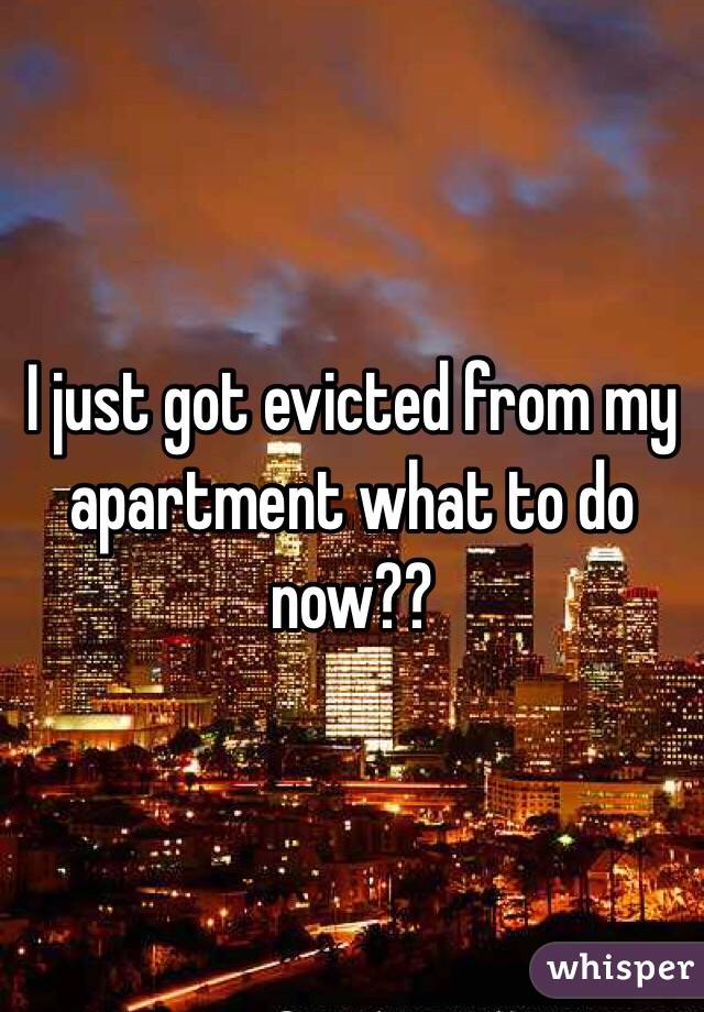I just got evicted from my apartment what to do now??