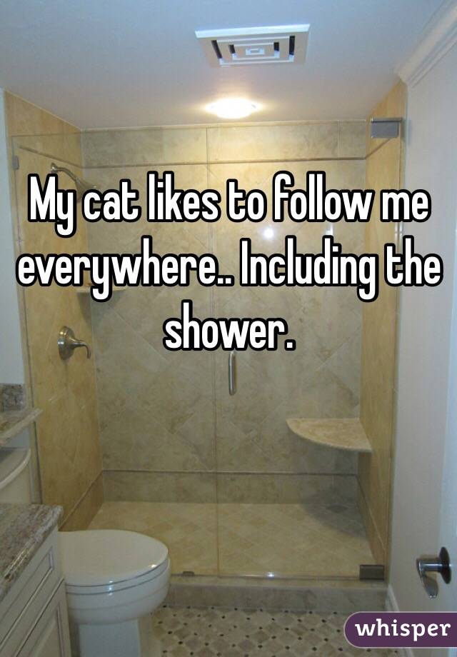 My cat likes to follow me everywhere.. Including the shower.
