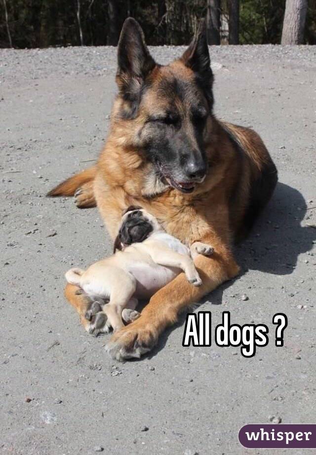 All dogs ?