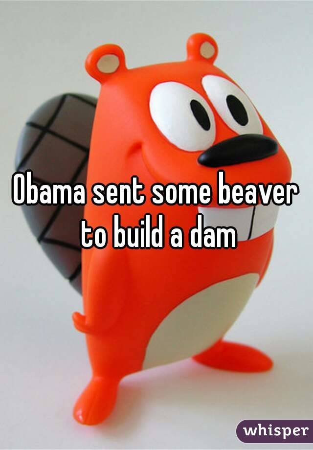 Obama sent some beaver to build a dam