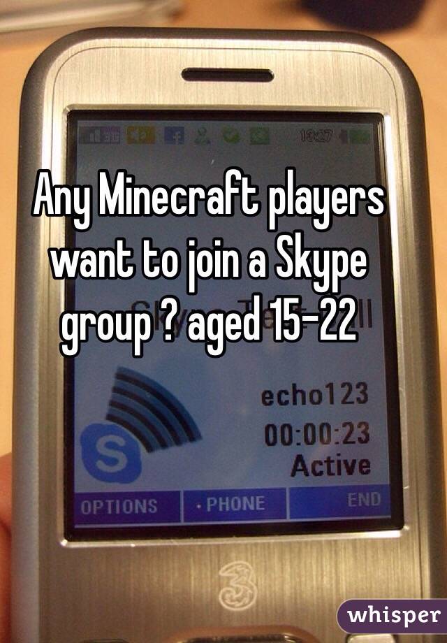 Any Minecraft players want to join a Skype group ? aged 15-22