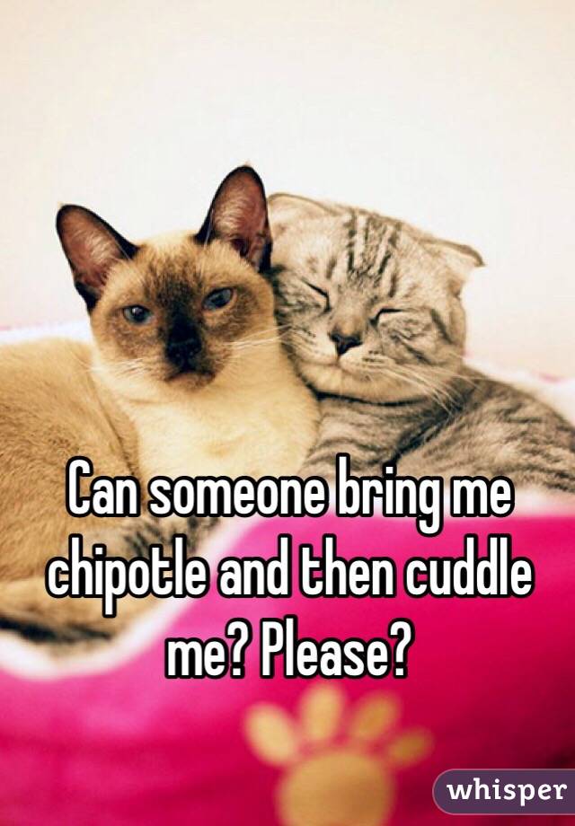 Can someone bring me chipotle and then cuddle me? Please? 