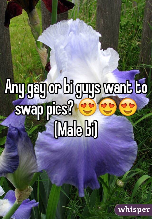 Any gay or bi guys want to swap pics? 😍😍😍
(Male bi) 