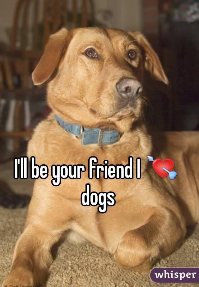 I'll be your friend I 💘 dogs