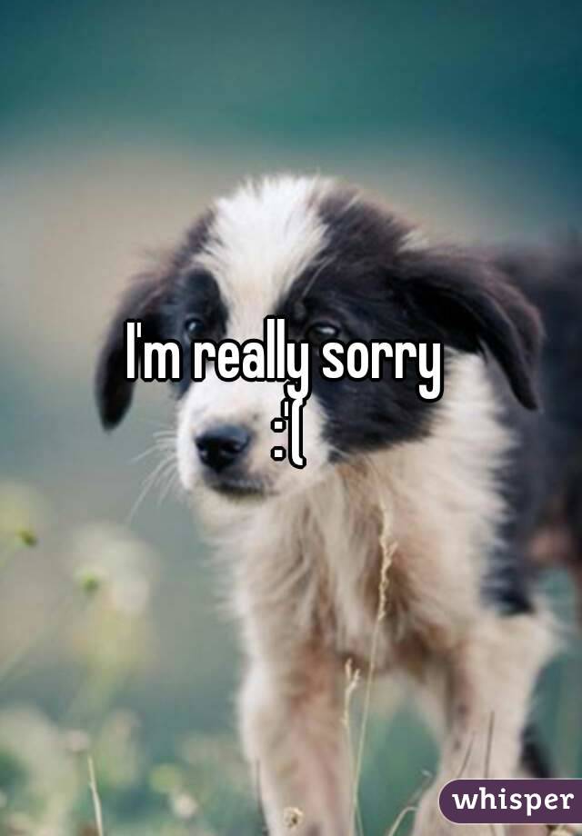 I'm really sorry 
:'(