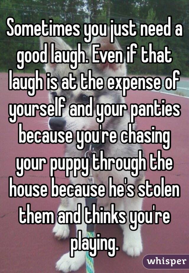 Sometimes you just need a good laugh. Even if that laugh is at the expense of yourself and your panties because you're chasing your puppy through the house because he's stolen them and thinks you're playing.  