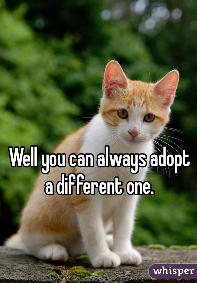 Well you can always adopt a different one. 