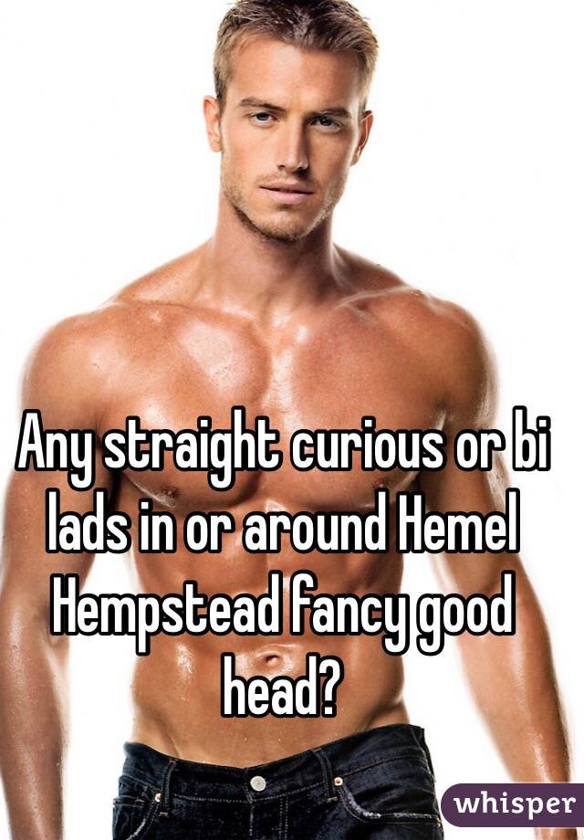 Any straight curious or bi lads in or around Hemel Hempstead fancy good head?
