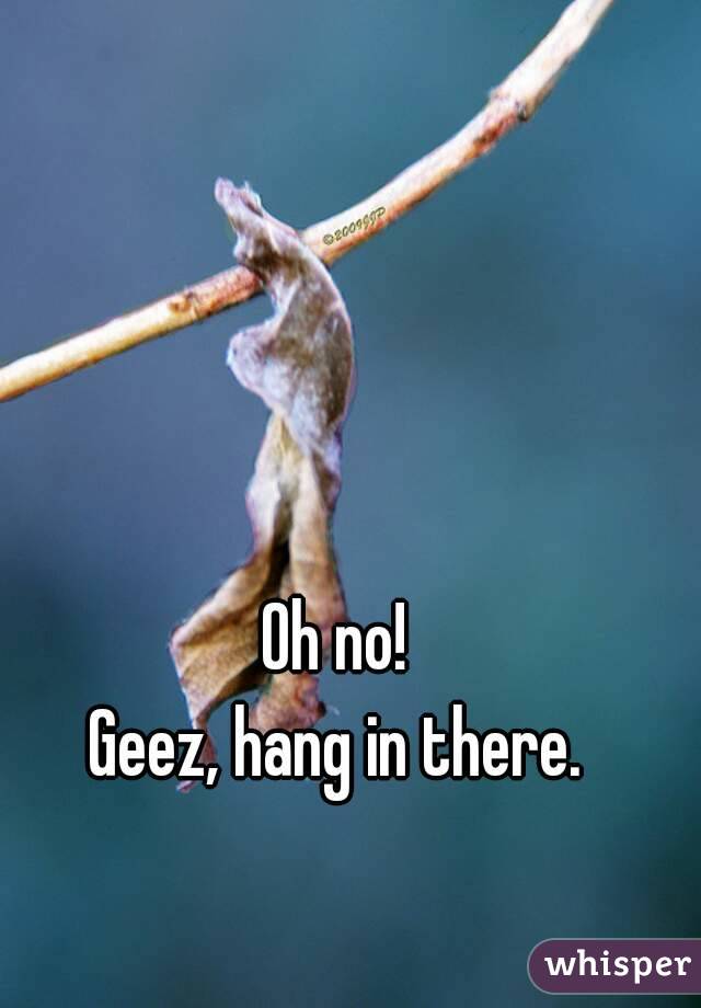 Oh no!
Geez, hang in there.