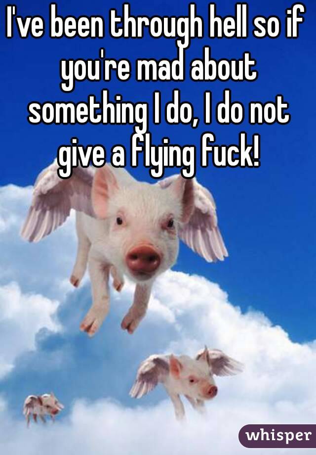 I've been through hell so if you're mad about something I do, I do not give a flying fuck!