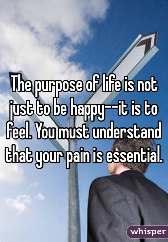 The purpose of life is not just to be happy--it is to feel. You must understand that your pain is essential. 