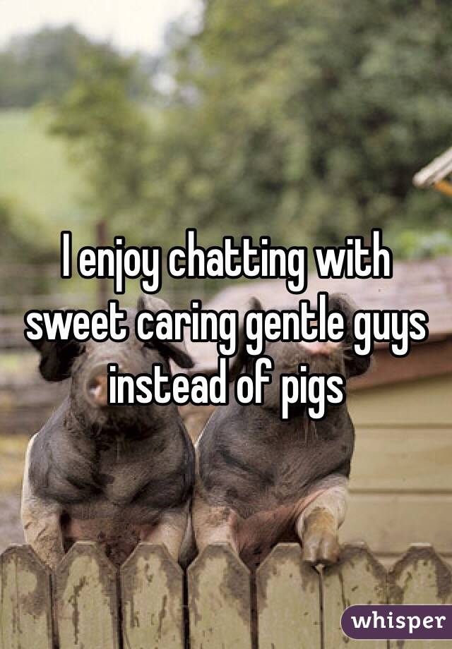 I enjoy chatting with sweet caring gentle guys instead of pigs