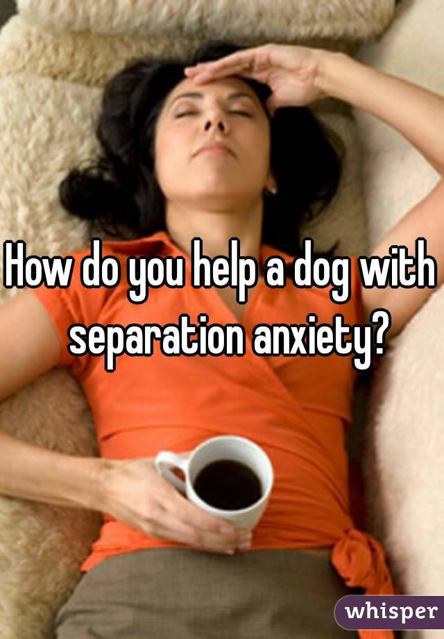How do you help a dog with  separation anxiety?