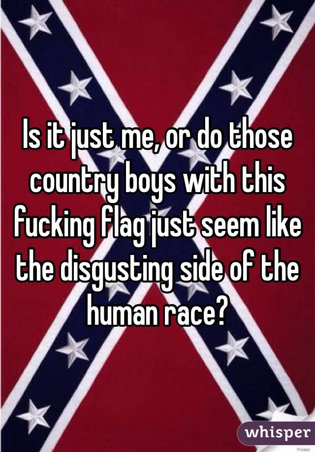 Is it just me, or do those country boys with this fucking flag just seem like the disgusting side of the human race? 