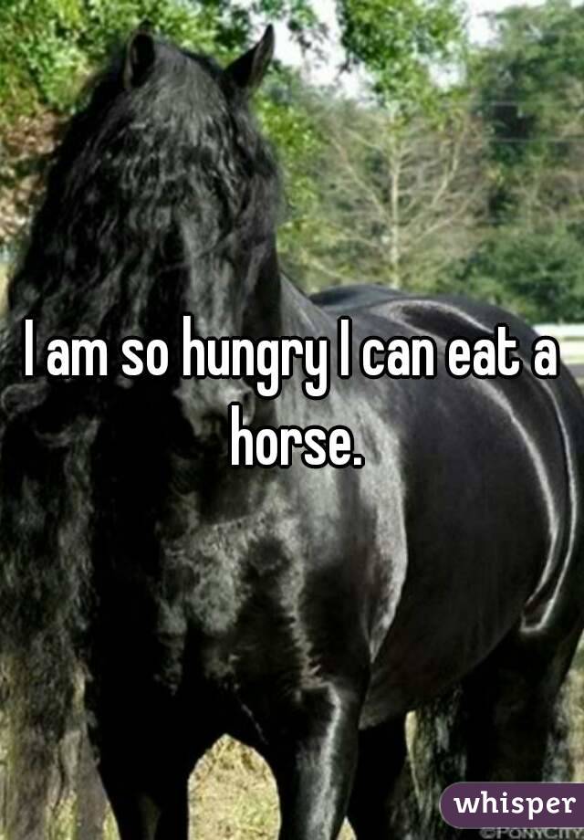 I am so hungry I can eat a horse.