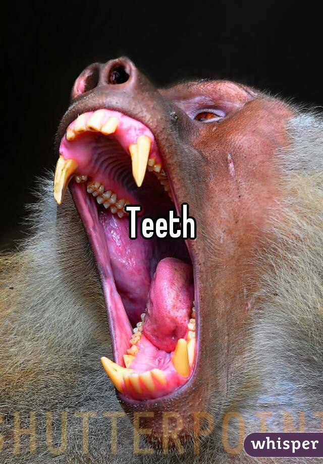 Teeth