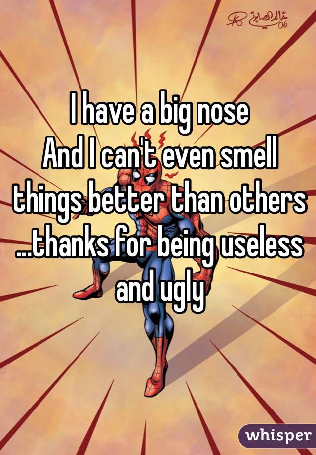 I have a big nose 
And I can't even smell things better than others 
...thanks for being useless and ugly