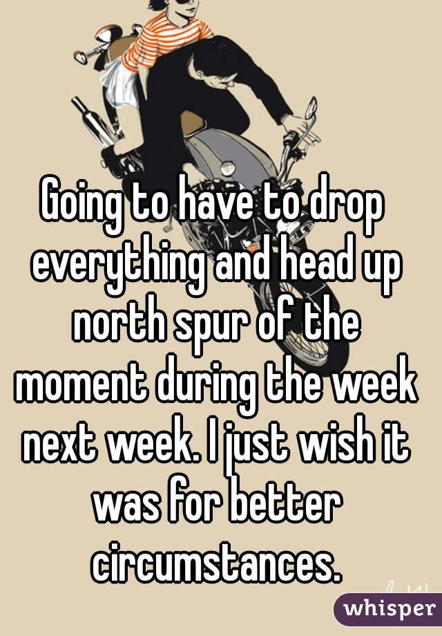 Going to have to drop everything and head up north spur of the moment during the week next week. I just wish it was for better circumstances.