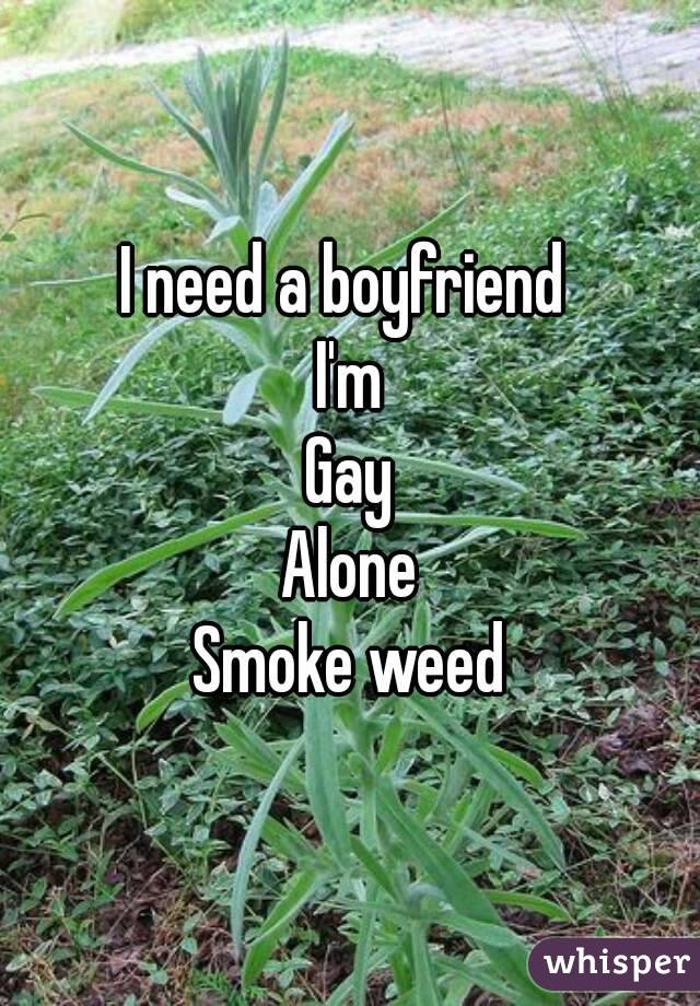 I need a boyfriend 
I'm
Gay
Alone
Smoke weed