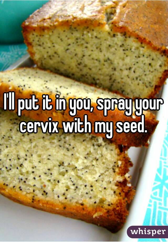 I'll put it in you, spray your cervix with my seed. 