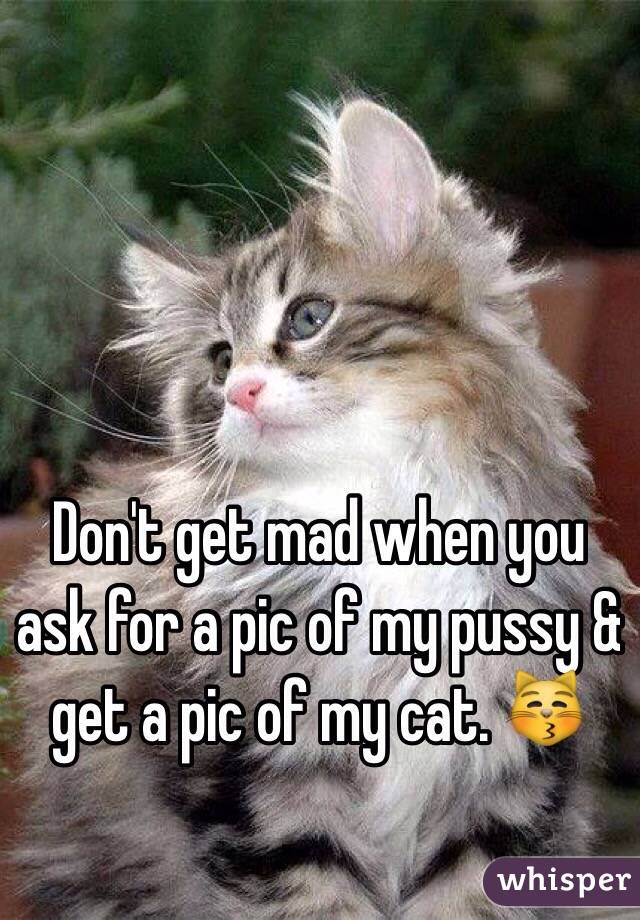 Don't get mad when you ask for a pic of my pussy & get a pic of my cat. 😽