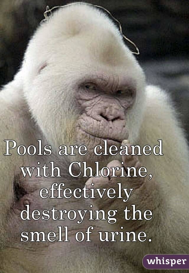Pools are cleaned with Chlorine, effectively destroying the smell of urine.